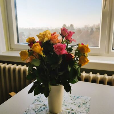 Dank der Spende eines örtlichen Discounters in Lostau: Wöchentlich frische Schnittblumen auf der Palliativstation der Lungenklinik Lostau. Foto: Pfeiffersche Stiftungen